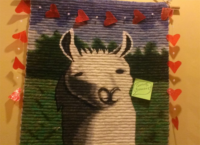 Alpaca? Llama? Llampaca?